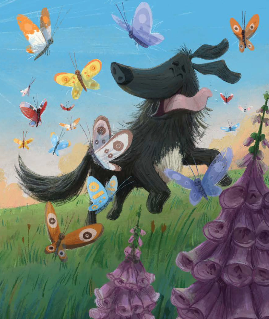 Danu Child of the Wild Book